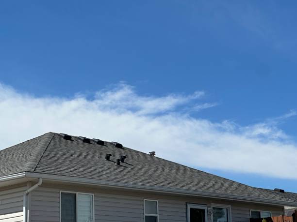 Fast & Reliable Emergency Roof Repairs in Albany, CA